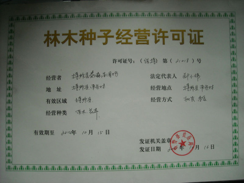 博野县泰森苗圃场:行业动态与未来展望