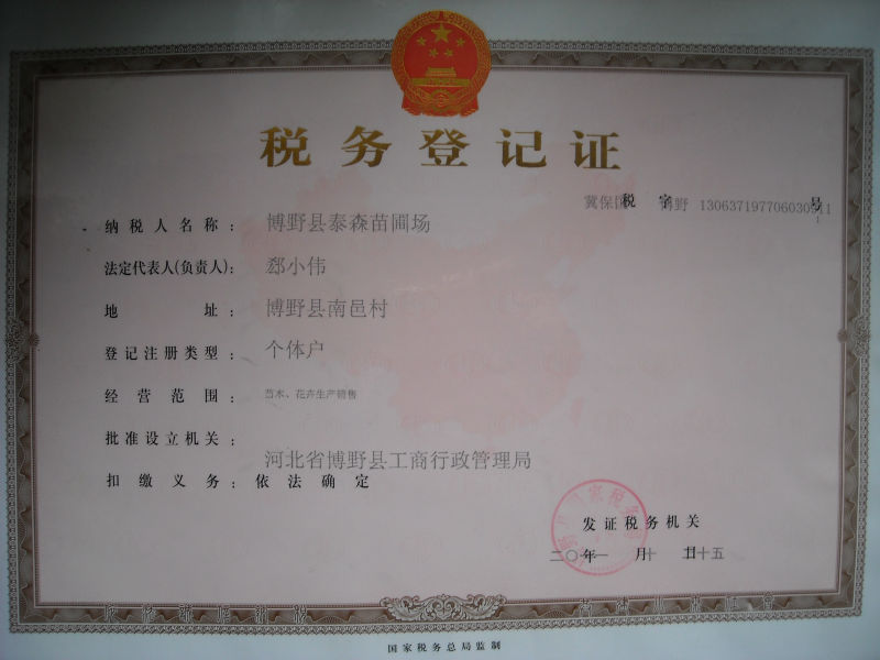 绿意盎然:博野县泰森苗圃场的生态奇迹